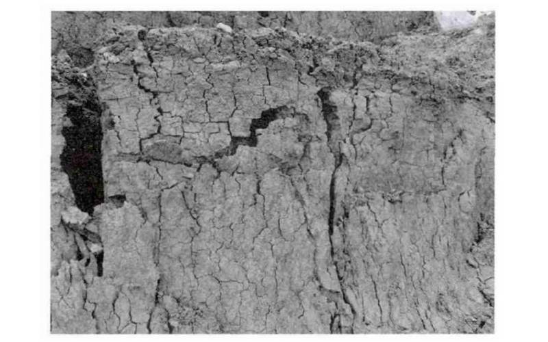 考虑裂隙分布及强度的膨胀土边坡稳定性分析