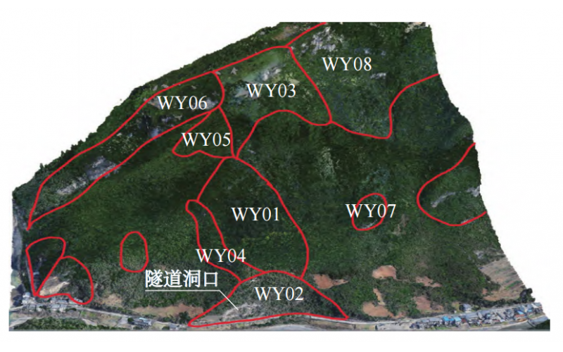 大巴山峡谷区高陡危岩发育特征与落石运动轨迹研究